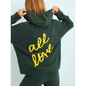 Aerie green “All Love” oversized teddy knit hooded sweater/sweatshirt (small)